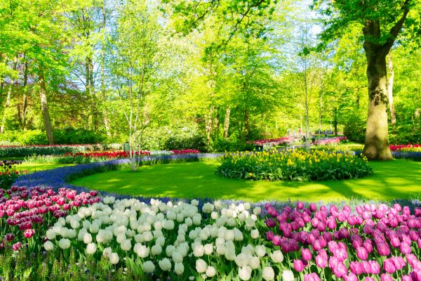 Cost of Spring Lawn Care in Longwood