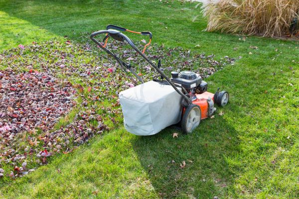 Seasonal Lawn Care in Longwood