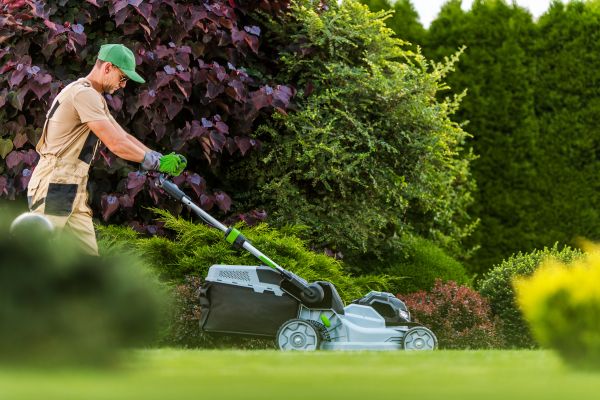 Lawn Management in Longwood