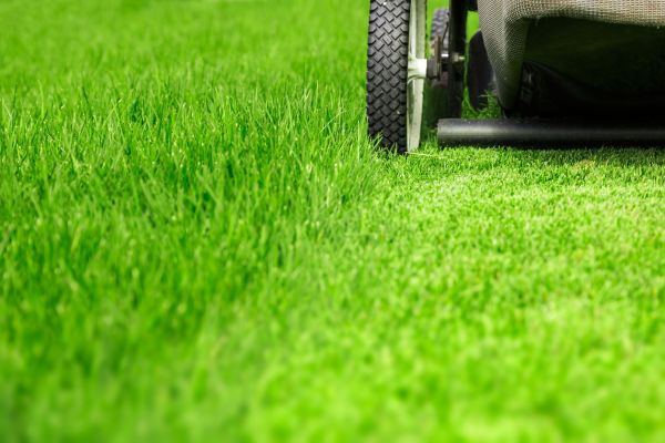 Weekly Lawn Care in Longwood