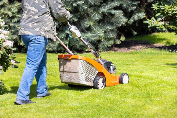 Springtime Lawn Care in Longwood