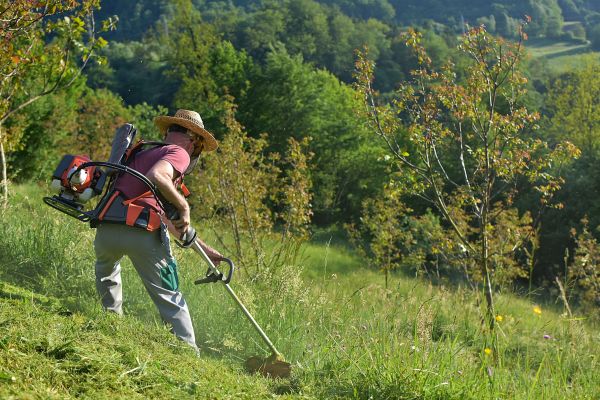 Slope Mowing in Longwood