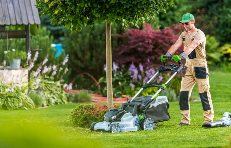 Lawn Care And Maintenance