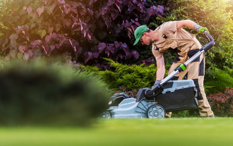 Friendly technicians preparing to mow