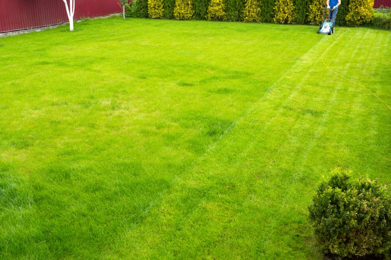 Lawn after professional mowing